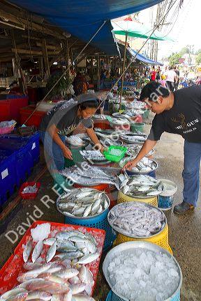 Vendor selling fresh fish at an open air market on the island of Ko Samui, Thailand.