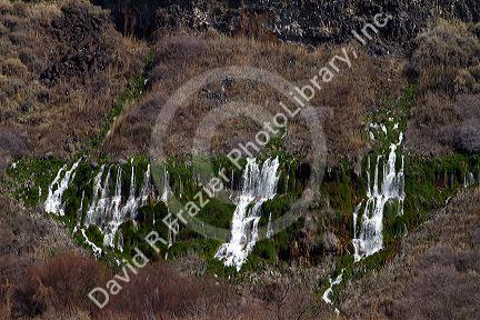 Springs at Thousand Springs State Park along the Snake River in the Hagerman Valley, Idaho, USA.