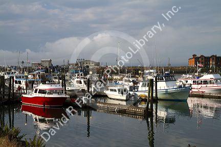Fishing boats at the Westport Marina located in Westport, Washington, USA.