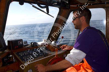 Skipper on a fishing boat in the Pacific Ocean off the coast of Westport, Washington, USA.