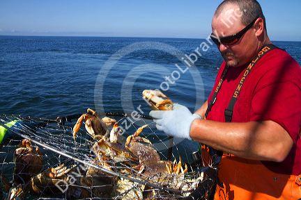 Crab fishing in the Pacific Ocean off the coast of Depoe Bay, Oregon, USA.