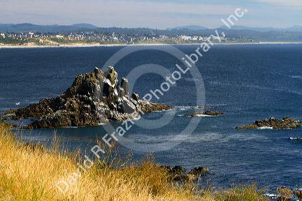 The Pacific Ocean coast at Newport, Oregon, USA.
