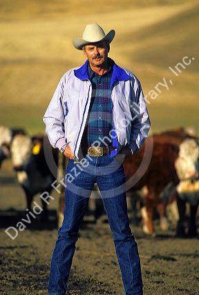 Rancher Jim Little in Emmett, Idaho, USA.