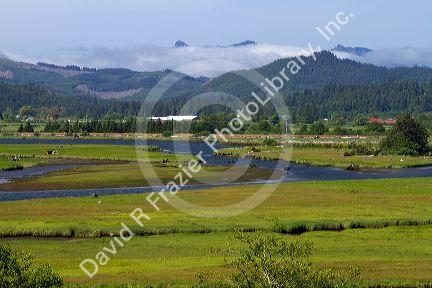 Coastal fog coming over the mountains near Nehalem in Tillamook County, Oregon, USA.