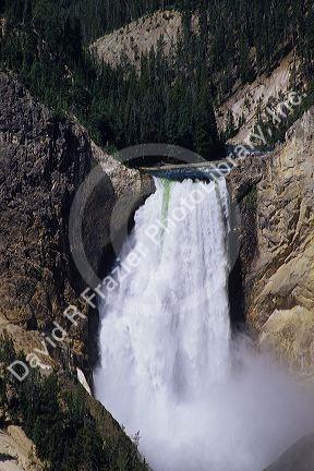 Yellowstone Falls, Wyoming.