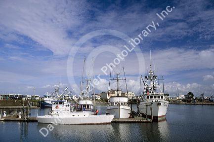 Boats docked at Westport, Washington.