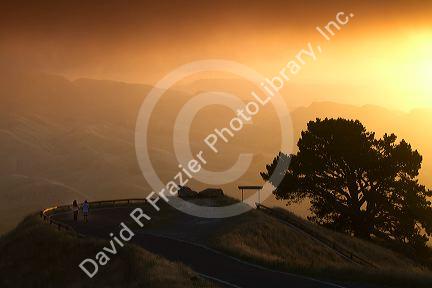 Mountain pass with fog at sunset near Hamilton in the Waikato Region, North Island, New Zealand.