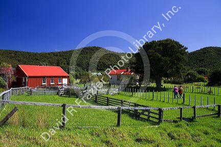 Old farmstead at the Bay of Islands in the Northland Region, North Island, New Zealand.