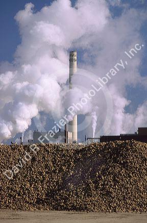 Sugar beet factory in Nampa, Idaho.