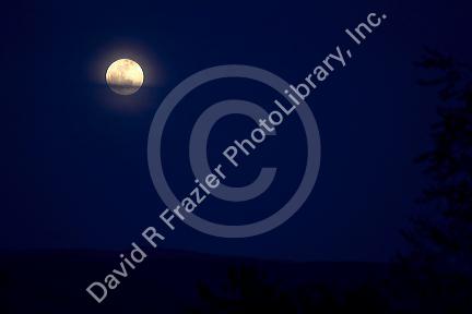 Spring full moon.