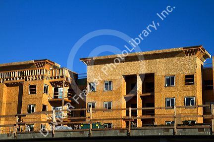 Wood construction of a new apartment building in Boise, Idaho, USA.