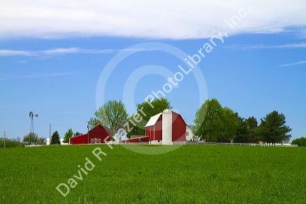 Alfalfa field with red barn and farm house in rural Allegan County, Michigan, USA.