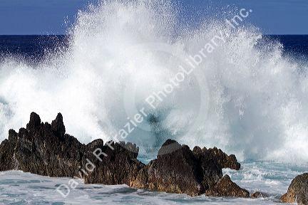 Waves crash along the rocky coast  on the Big Island of Hawaii, USA.