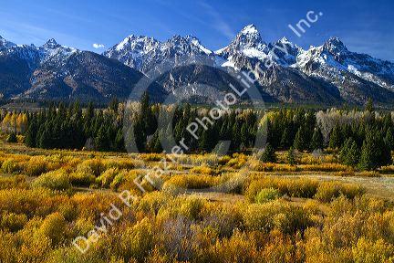 Teton National Park, Wyoming, USA.
