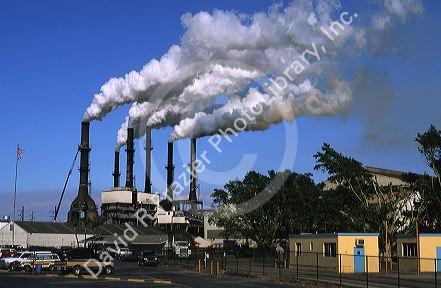 Steam rises from smokestacks at a sugar cane mill in Belle Glade, Florida.