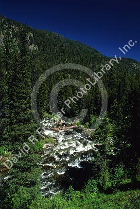 Johnson Creek near Yellow Pine, Idaho.