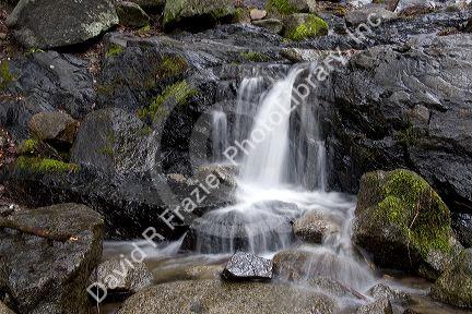 Small fresh water creek in Sequoia National Park at Big Fern Springs, California.