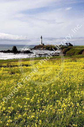 Pigeon Point Lighthouse near Half Moon Bay, California with a field of oxalis (sourgrass) flowers.