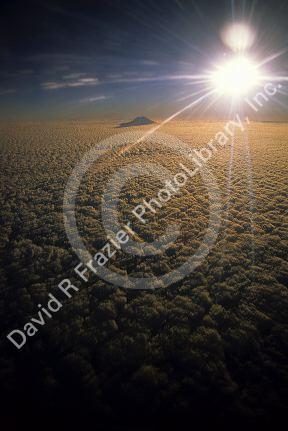 Washington state Mount Rainier above the clouds.