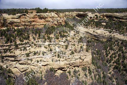 Cliff dwellings in Mesa Verde, Colorado.  The dwellings are tucked beneath the clliff at the center of the photo.  Others images reveal details close up.