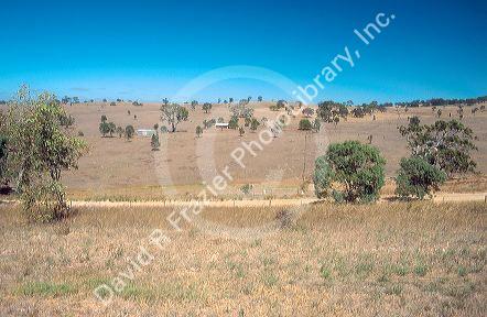 Rural South Australia.