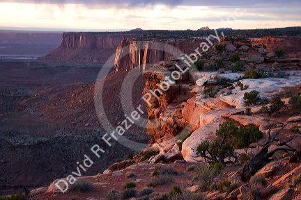 Canyonlands National Park near Moab, Utah from Grandview Point.