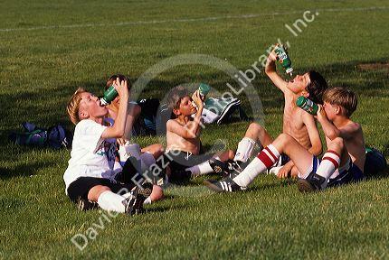 Young boy soccer players drinking sports drinks on the field.