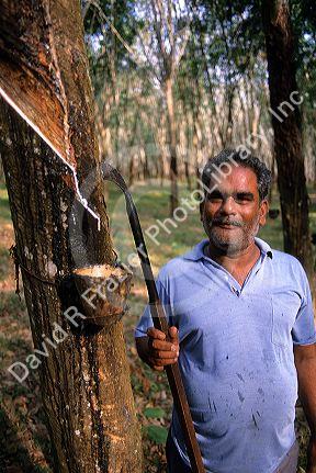 Rubber tree plantation worker in Malaysia.