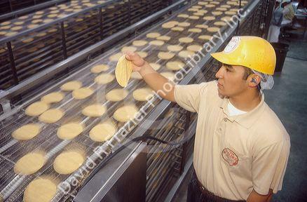 Corn tortilla factory in Caldwell, Idaho.  Manager checks quality of product.