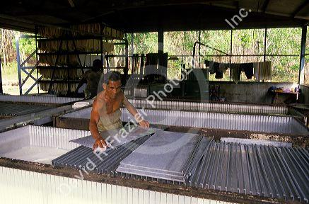 Raw latex processing plant in Malaysia.  Acid bath coagulates raw latex.