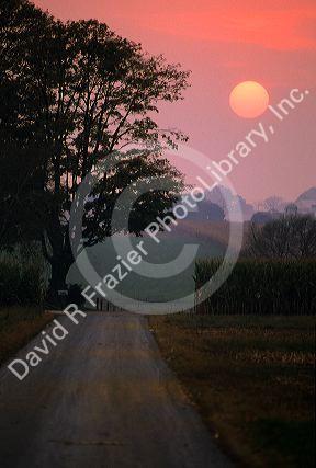 Sun setting in Lancaster County, Pennsylvania with country road and corn field.