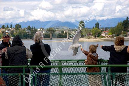 Passengers on a Washington state ferry feeding gulls.