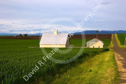 Farm on the Camas Prairie of Idaho near Grangeville.