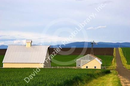 Farm on the Camas Prairie of Idaho near Grangeville.