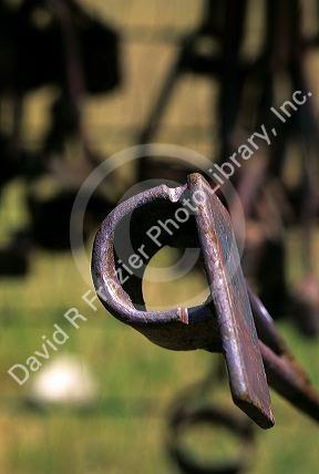 A close up view of a cattle brand 