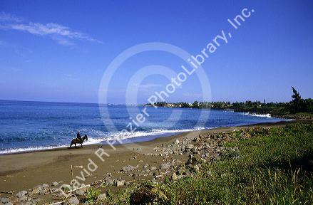 A man rides a mule on the beach at Kalaupapa peninsula on Molokai, Hawaii.