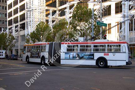 Articulated city bus in San Francisco, California.