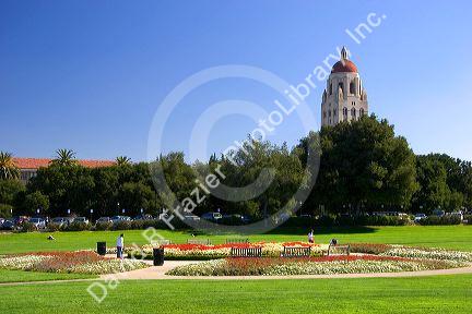 The campus at Stanford University in Palo Alto, California.