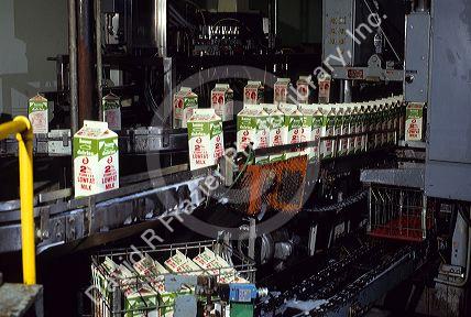 Cartons of milk on a conveyer line at a dairy processing plant in Boise, Idaho.