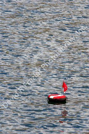 Diver bouy and flag indicate underwater activity at this location.