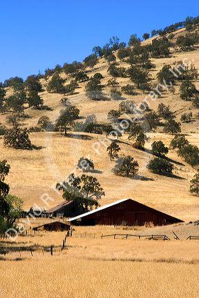 An old farm and barn near Williams, California.