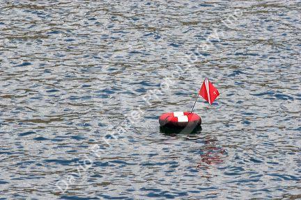 Diver bouy and flag indicate underwater activity at this location.