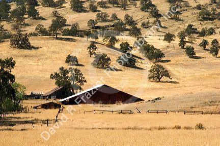 An old farm and barn near Williams, California.