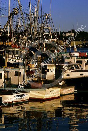 A fishing boat fleet in Glouscester, Massachusetts.