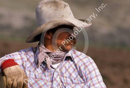 Idaho Cowboy. MR