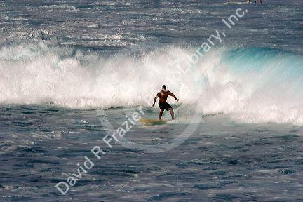 Surfing on waves in the pacific ocean off the island of Maui, Hawaii.