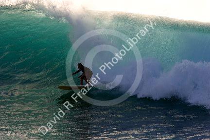 Surfing on waves in the pacific ocean off the island of Maui, Hawaii.