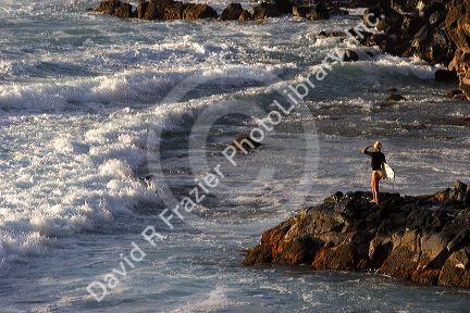 Female surfer stands on the rocky shore viewing waves in the pacific ocean from the island of Maui, Hawaii.