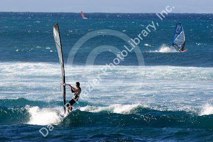 Windsurfing in the pacific ocean off the island of Maui, Hawaii.