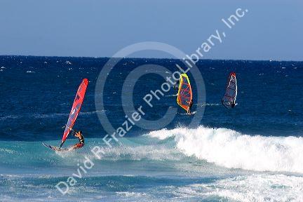 Windsurfing in the pacific ocean off the island of Maui, Hawaii.